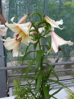 Foto: Dr. Peter Müller